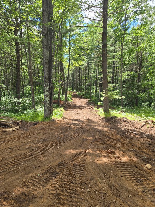 Road Building