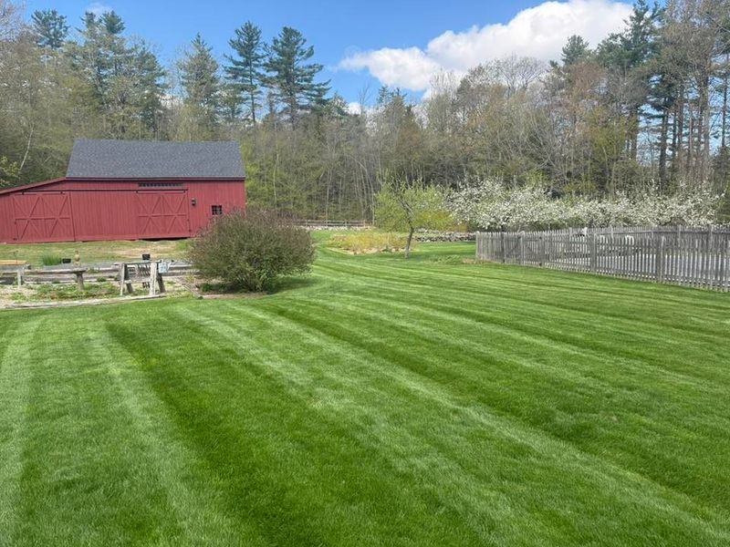 Landscaping