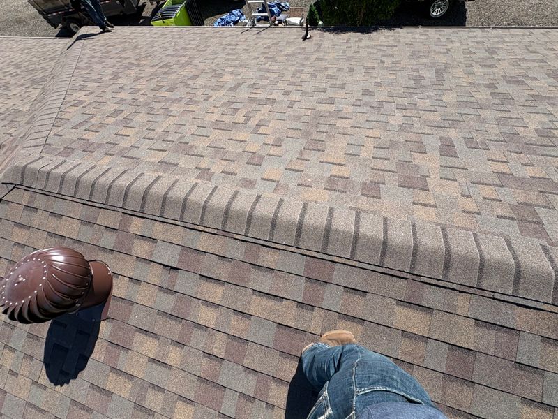Roof Inspection