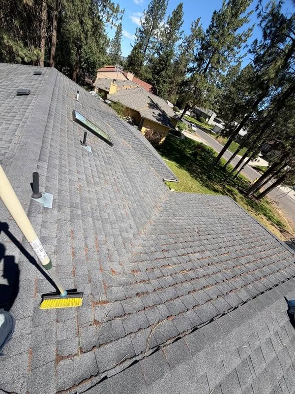 Roof Cleaning