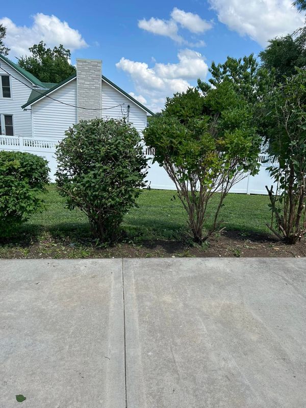 Shrub Trimming