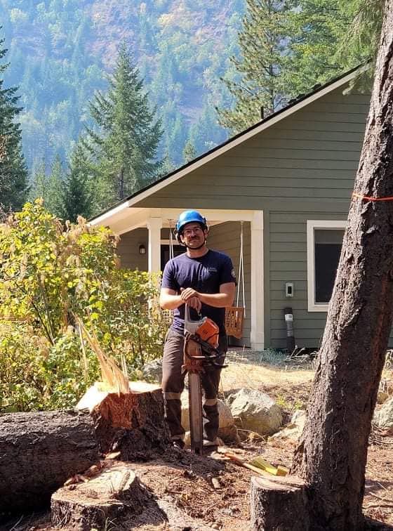 Tree Trimming and Removal