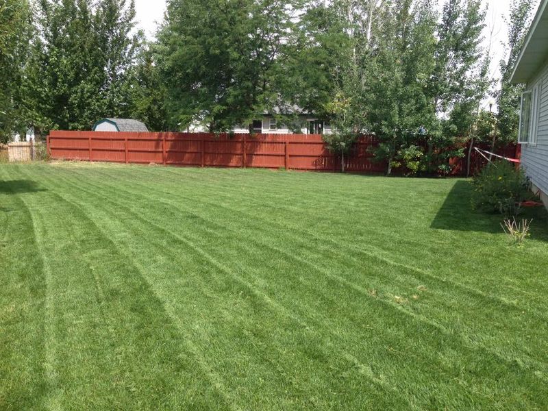Sprinkler Work