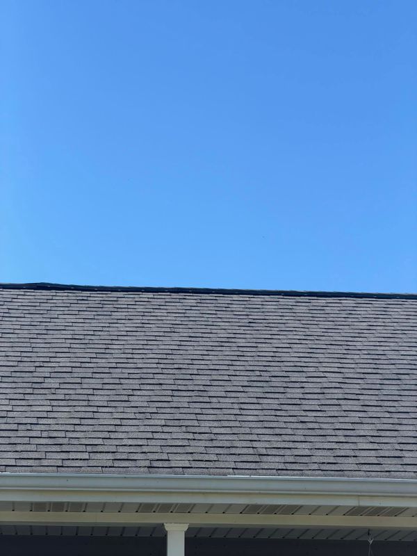 Deck and Patio Restoration