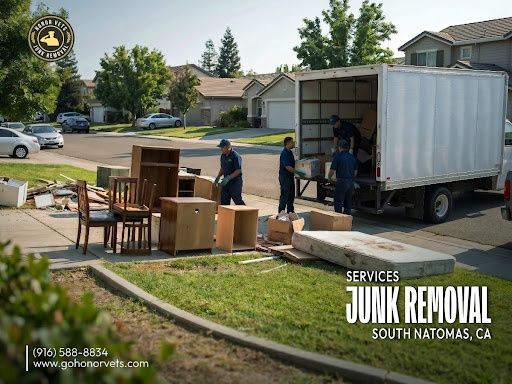 Junk Removal