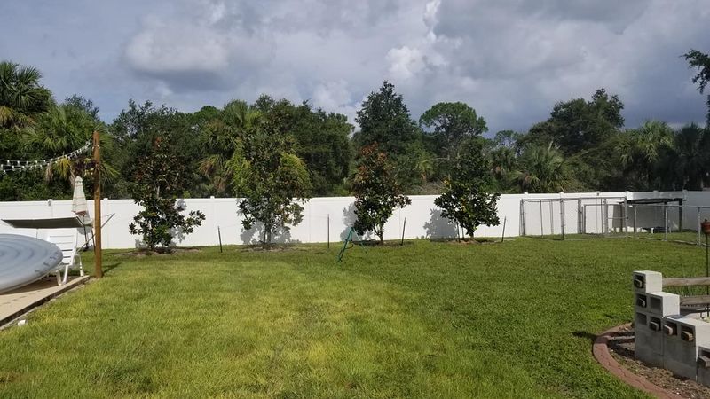 Tree Service