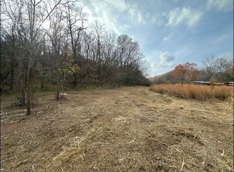 Land Clearing