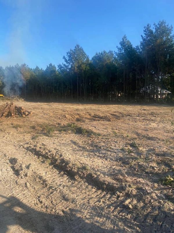 Land Clearing