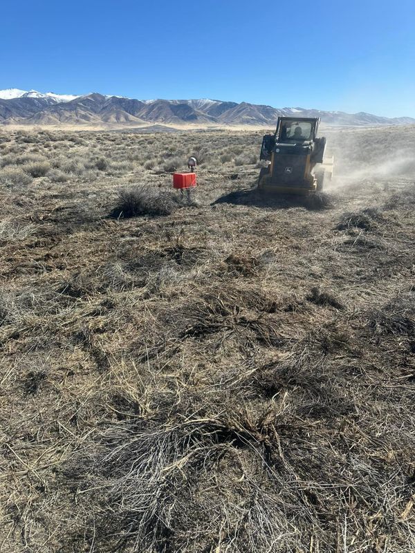 Land Clearing