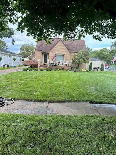 Lawn Care & Maintenance