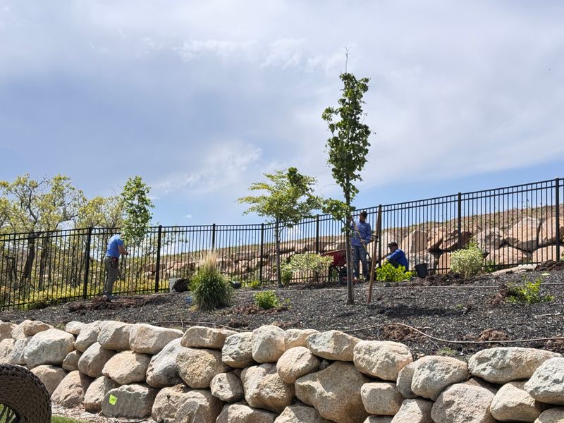 Mulch Installation