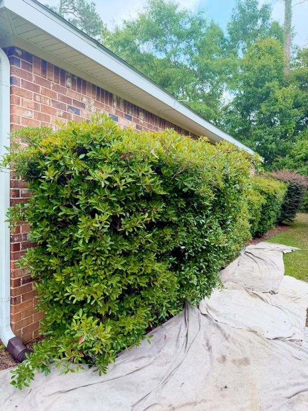 Landscape Bed Maintenance