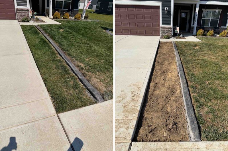 Garden Design and Installation