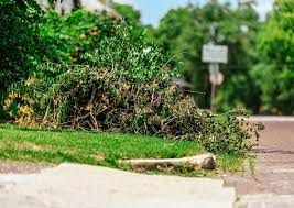 Construction Debris Removal