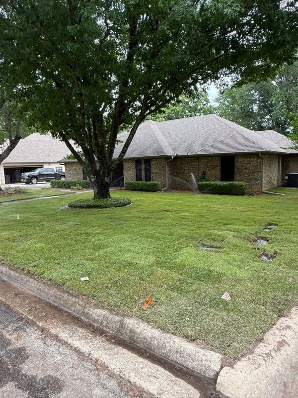 Lawn Maintenance