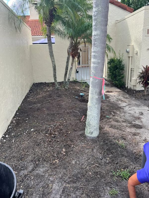 Landscape removal