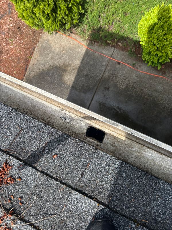 Gutter Cleaning