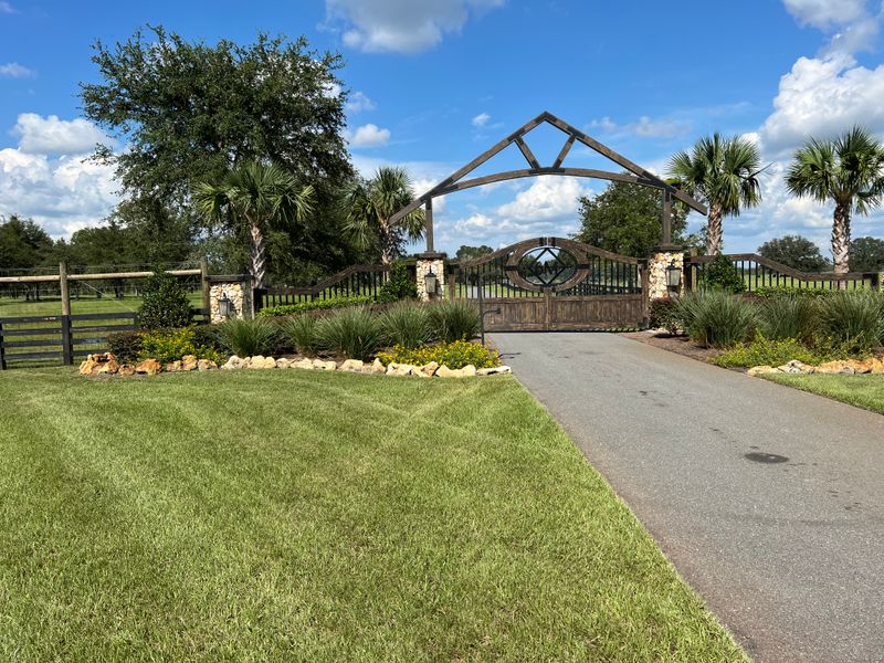 Lawn Care