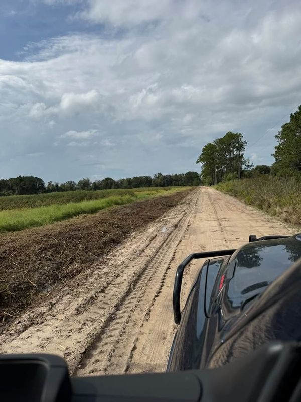 Land Clearing