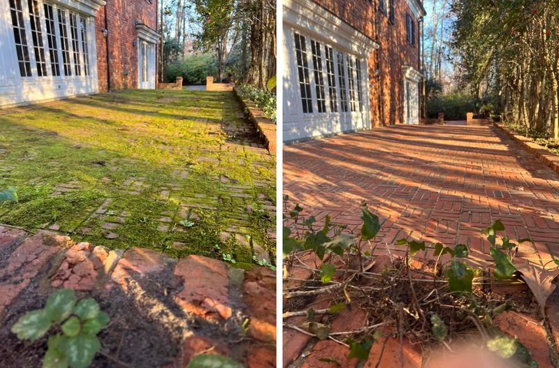 Driveway & Sidewalk Cleaning