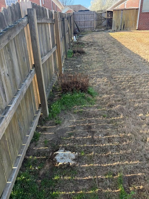 Stump Removal