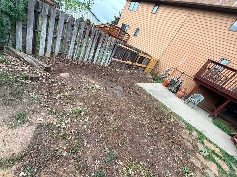 Stump Removal