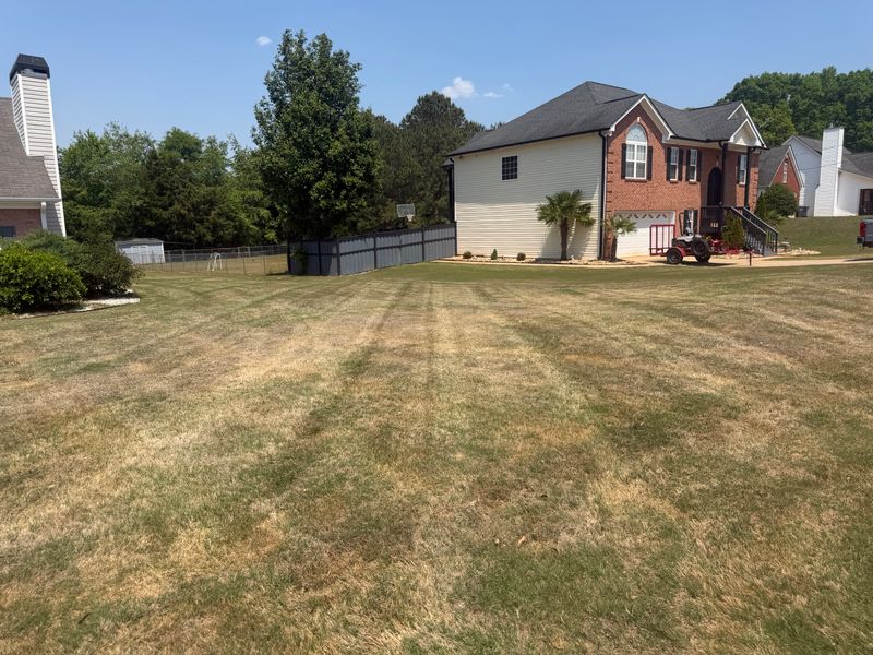 Lawn Maintenance