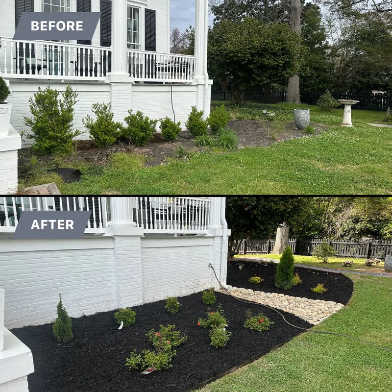 Plant Installs