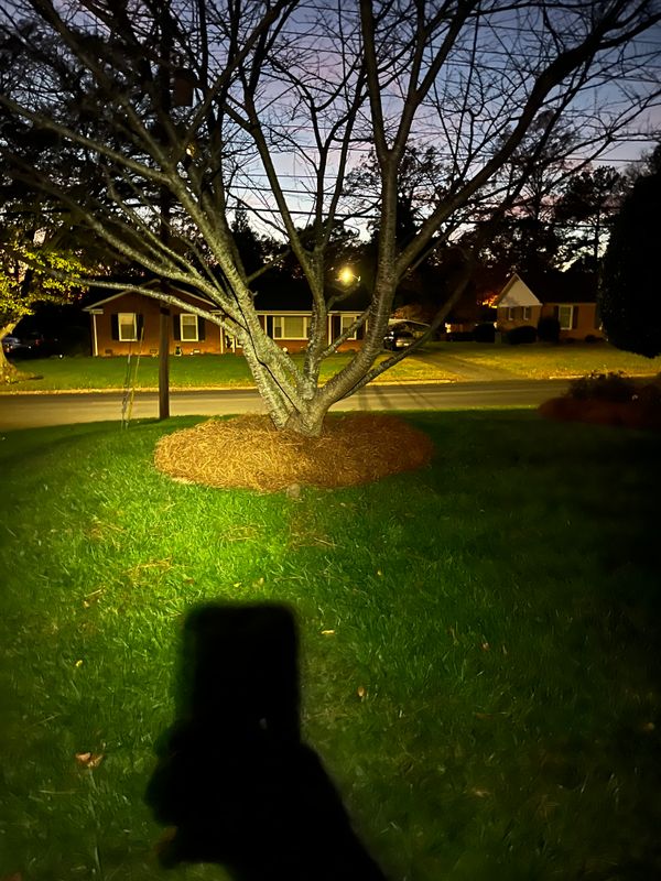 Pine Needle Installation