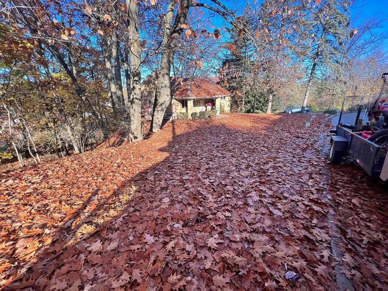 Fall and Spring Clean Up