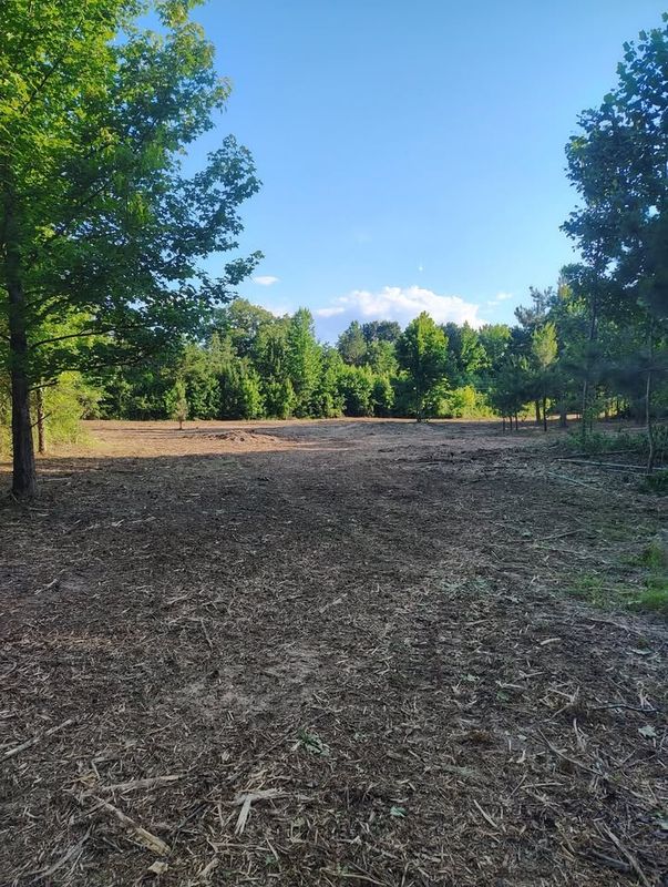 Forestry Mulching
