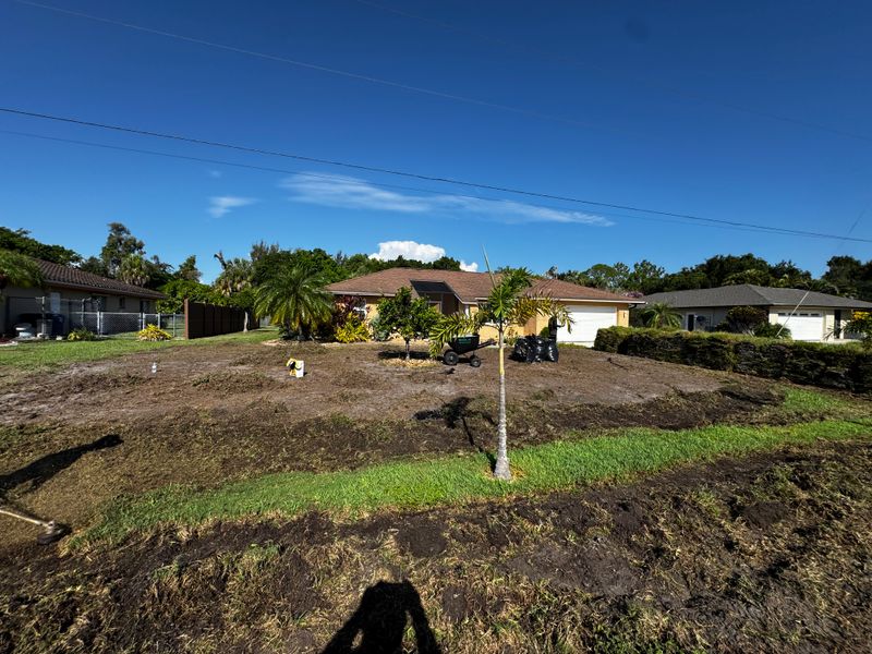 Transforming Lawns into Lush Landscapes in Sunny Florida