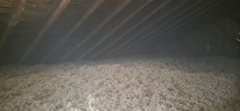 Eco-Friendly Insulation Options