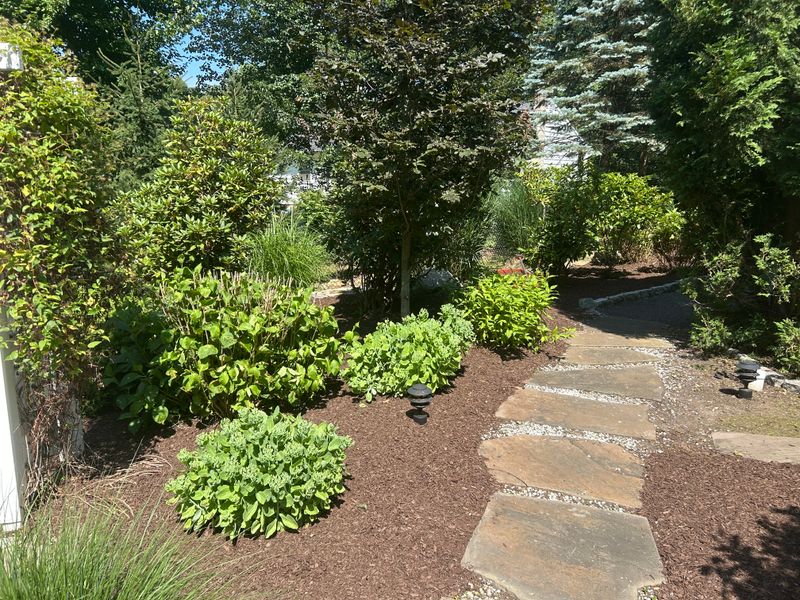 Shrub Trimming