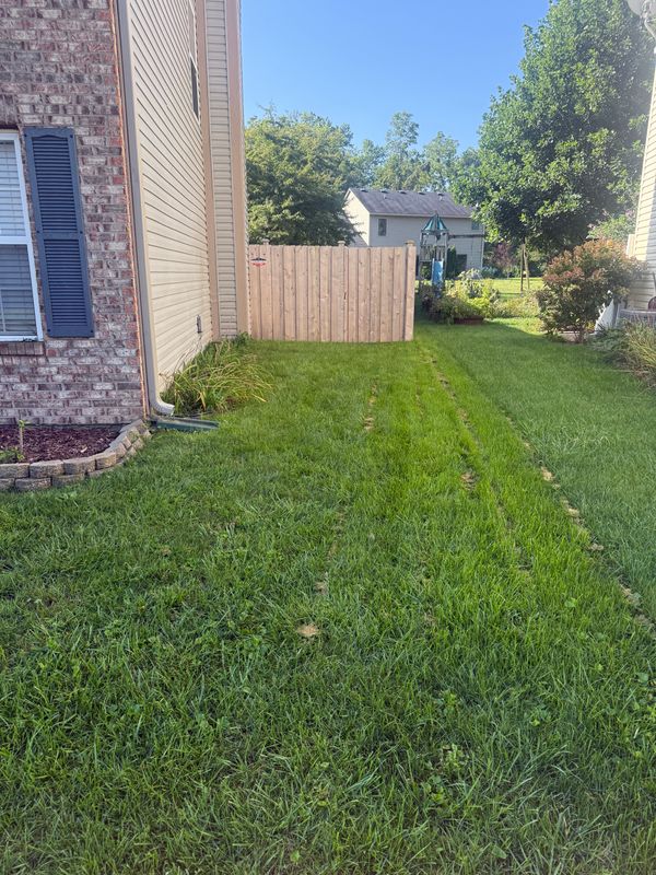 Lawn Maintenance