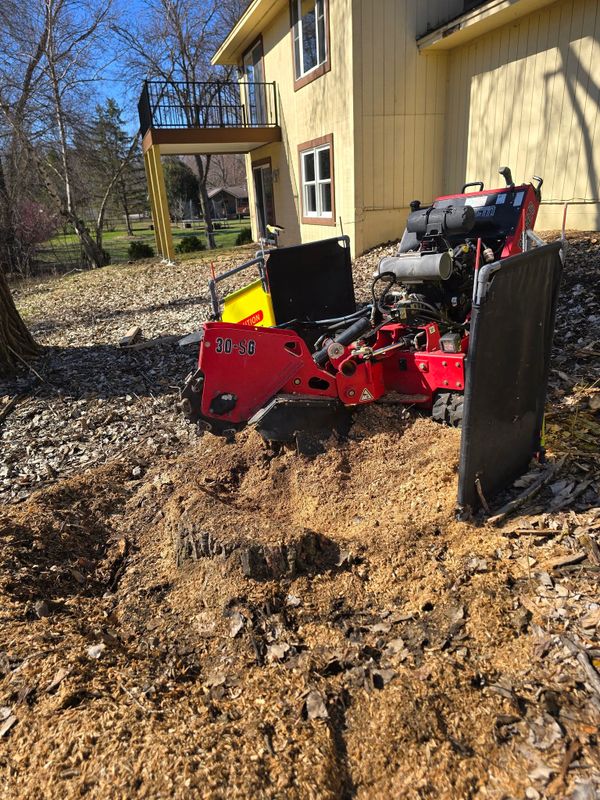 Tree & Shrub Care