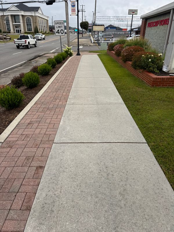 Driveway and Sidewalk Cleaning