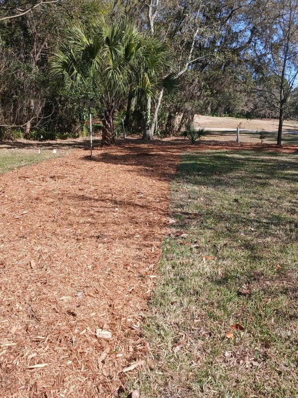 Mulch Installation