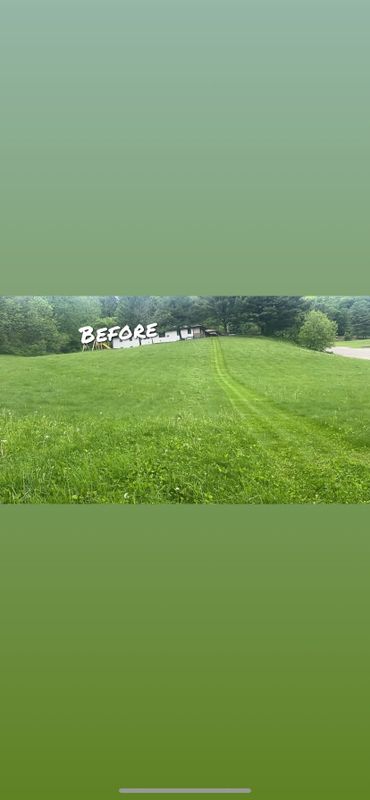 Front Yard Makeovers