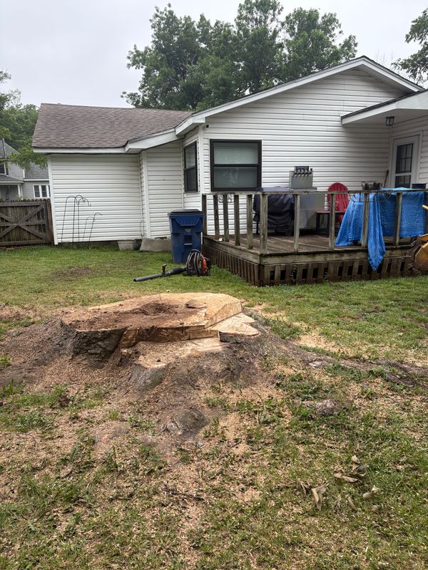 Stump Removal