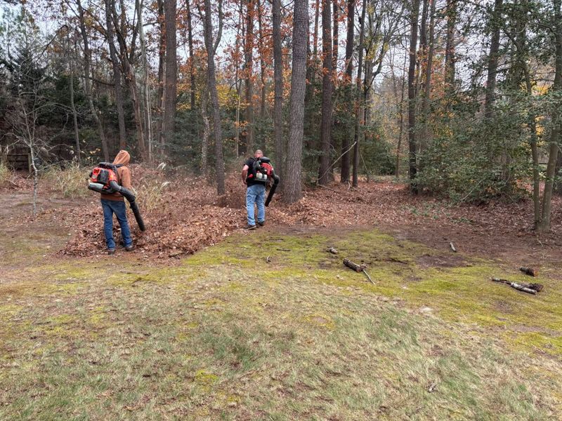 Lawn Maintenance