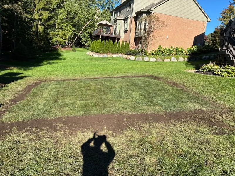 Landscaping
