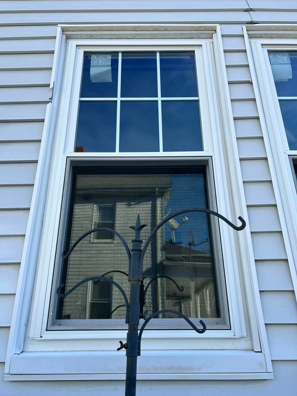 Windows and Doors