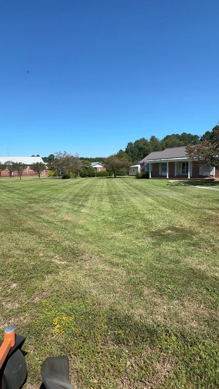 Lawn Maintenance