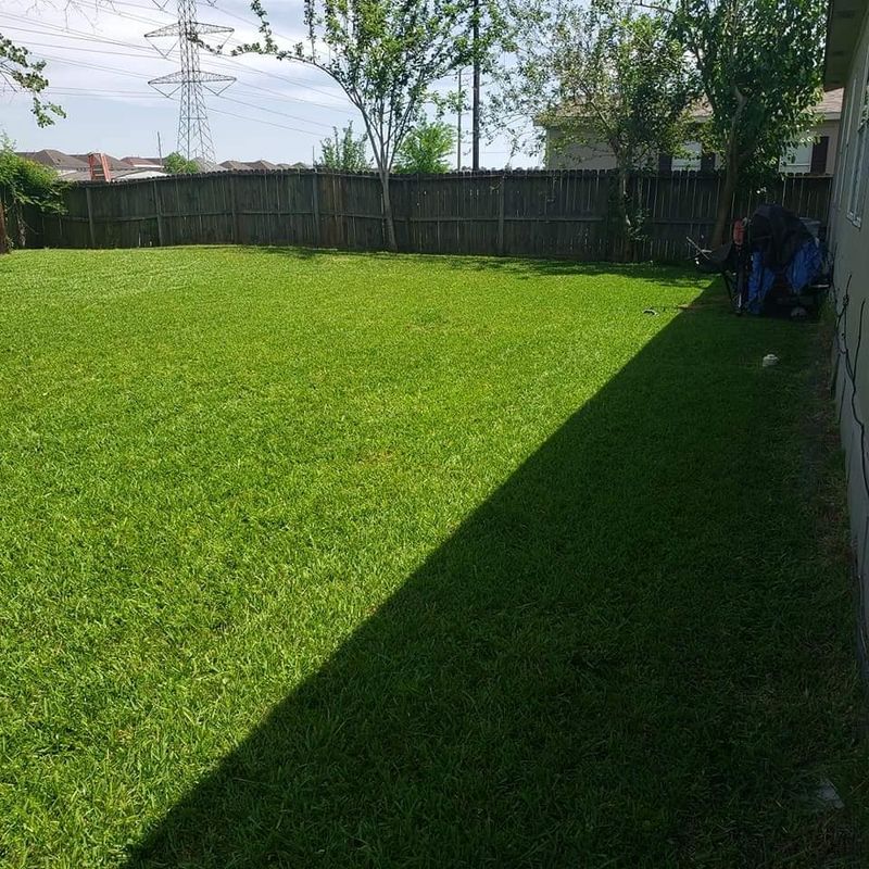 Lawn Care
