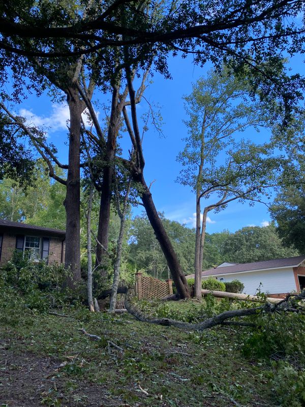 Storm Cleanup / Tree Work
