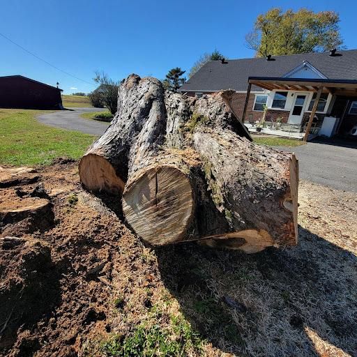 Stump grinding