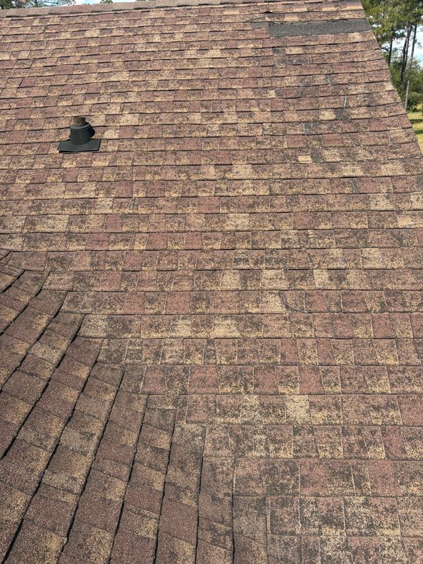 Roof inspection