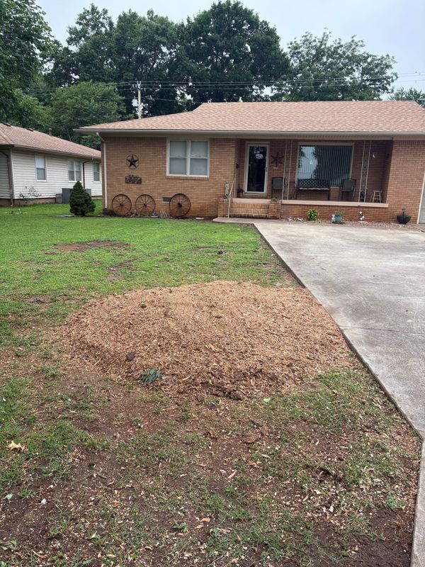 Stump Removal