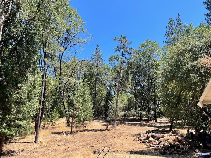 Brush Clearing